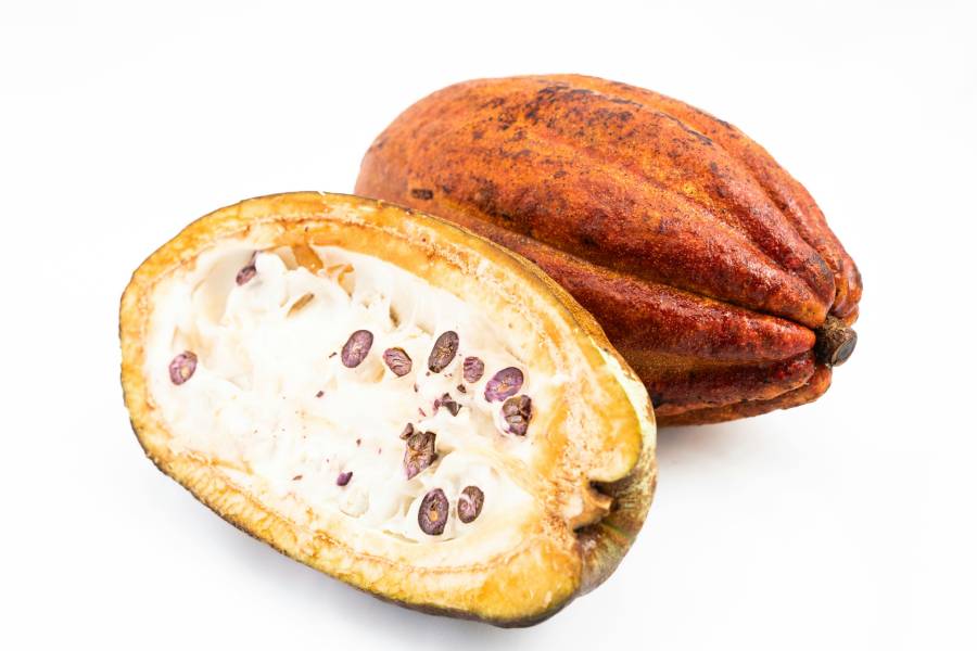 Cacao