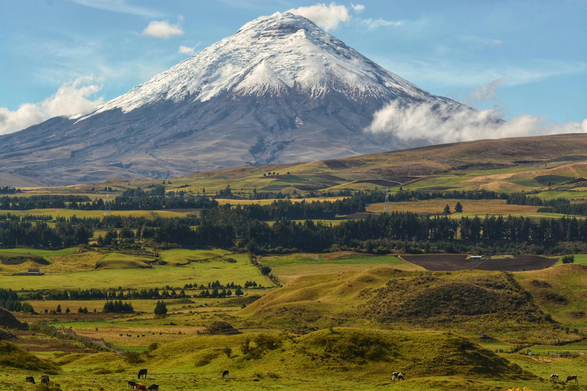 Volcán Cotopaxi